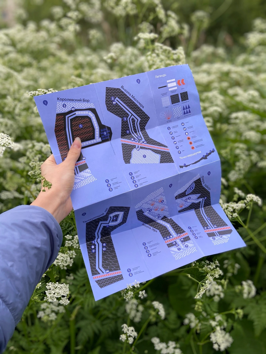 Person holding the folded map outdoors